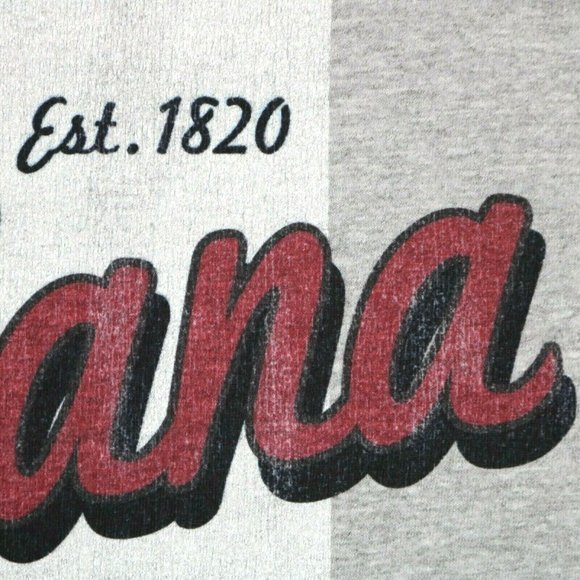 Indiana University Hoosiers Baseball Shirt T-Shirt Gray‎ M Medium - Picture 10 of 11